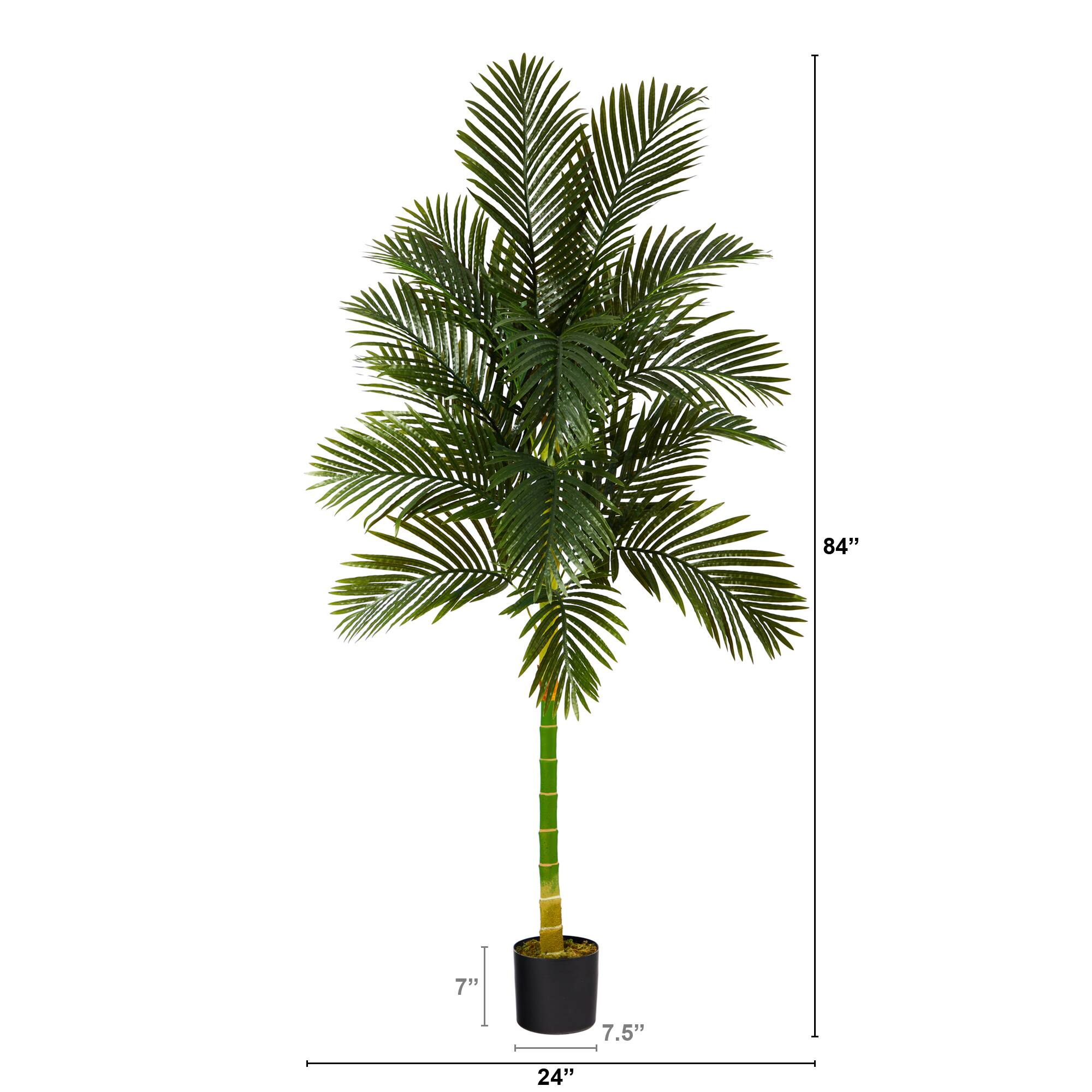 7ft. Potted Golden Cane Palm Tree